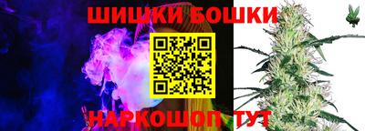 индика Усть-Илимск