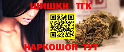 индика Усть-Илимск